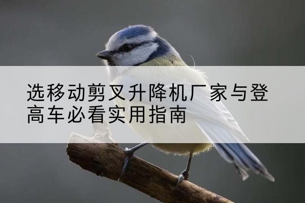 潼南区电动升降机厂家-选移动剪叉升降机厂家与登高车必看实用指南