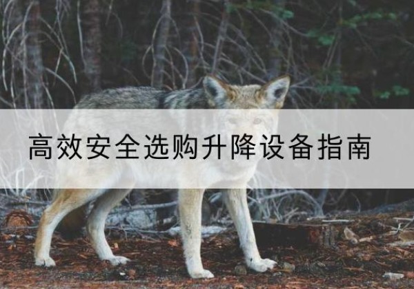 潼南区升降货梯厂家推荐-*安全选购升降设备指南